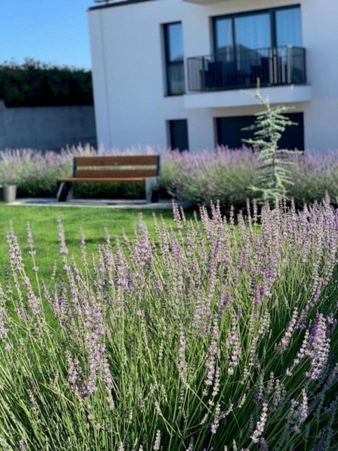 Paskom Apartmanhaz Nyergesujfalu Extérieur photo